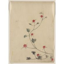 Katsushika Hokusai: [Small red blossoms on a vine] - Library of Congress