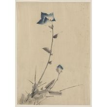 Katsushika Hokusai: [Blue flower blossom and bud at the end of a stalk] - Library of Congress