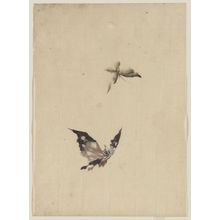 Katsushika Hokusai: [Butterfly and moth] - Library of Congress