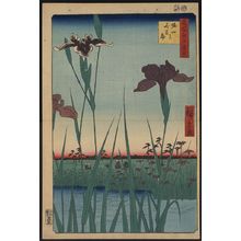 Utagawa Hiroshige: Horikiri iris garden. - Library of Congress