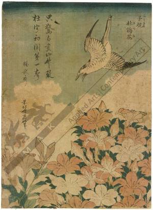 Katsushika Hokusai: Cuckoo and Azaleas - Austrian Museum of Applied Arts