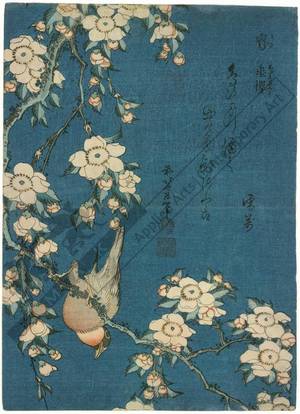 Katsushika Hokusai: Weeping cherry and bullfinch - Austrian Museum of Applied Arts