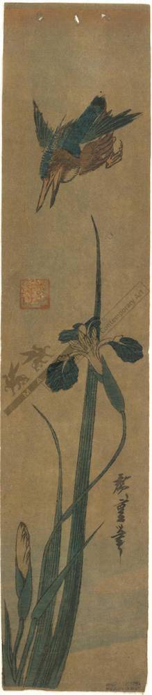 Utagawa Hiroshige: Kingfisher and irises (title not original) - Austrian Museum of Applied Arts