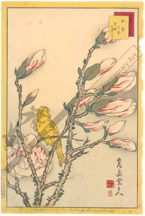 Nakayama Sugakudo: Canary-bird and magnolia - Austrian Museum of Applied Arts