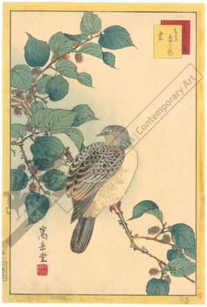 Nakayama Sugakudo: Pigeon and Mulberry - Austrian Museum of Applied Arts