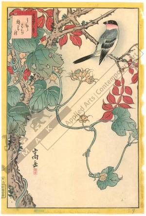 Nakayama Sugakudo: Bullfinch and morning glory with fruits - Austrian Museum of Applied Arts