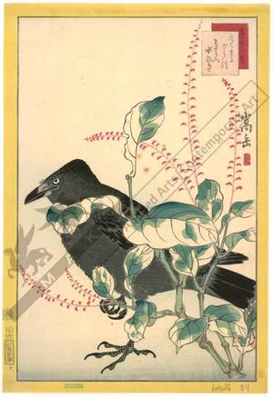 Nakayama Sugakudo: Jackdaw and knotgrass - Austrian Museum of Applied Arts