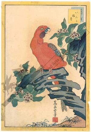 Nakayama Sugakudo: Macaw and Sweet Daphne - Austrian Museum of Applied Arts