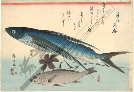 Utagawa Hiroshige: Flying fish and Ishimochi - Austrian Museum of Applied Arts