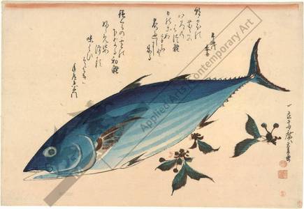 Utagawa Hiroshige: Bonito (title not original) - Austrian Museum of Applied Arts