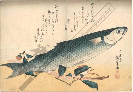Utagawa Hiroshige: Grey Mackerel (title not original) - Austrian Museum of Applied Arts