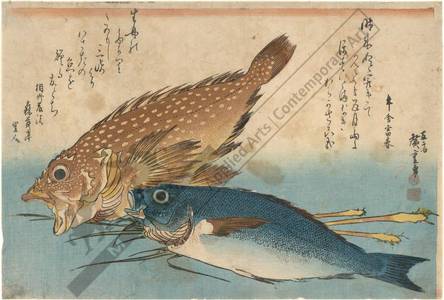 Utagawa Hiroshige: Kasago and Isaki (title not original) - Austrian Museum of Applied Arts