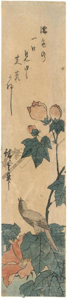 Utagawa Hiroshige: Hibiscus and little bird (title not original) - Austrian Museum of Applied Arts