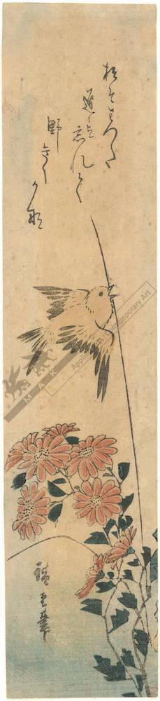 Utagawa Hiroshige: Sparrow and wild chrysanthemum (title not original) - Austrian Museum of Applied Arts