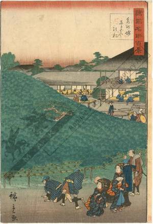 Utagawa Hiroshige II: Pine at the Naniwa teahouse in Sakai in the province of Izumi - Austrian Museum of Applied Arts