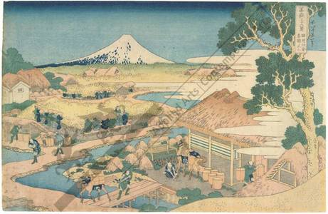 葛飾北斎: Fuji seen from the Katakura tea plantation in the province of Suruga - Austrian Museum of Applied Arts