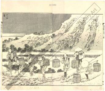 Katsushika Hokusai: At the foot of the mount Fuji - Austrian Museum of Applied Arts