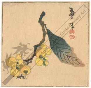 Katsushika Taito II: Loquat fruits (title not original) - Austrian Museum of Applied Arts