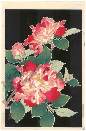 Kawarazaki Shodo: Camellia - Austrian Museum of Applied Arts