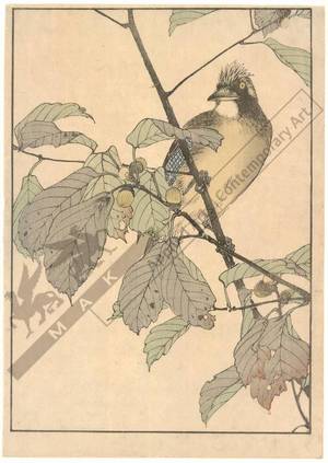 Kono Bairei: Bird sitting on an oak (title not original) - Austrian Museum of Applied Arts