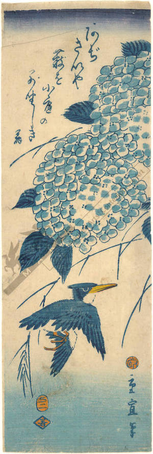 二歌川広重: Kingfisher and hydrangea (title not original) - Austrian Museum of Applied Arts