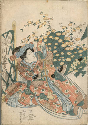 Utagawa Kunisada: Segawa Kikunojo as Sakurahime - Austrian Museum of Applied Arts