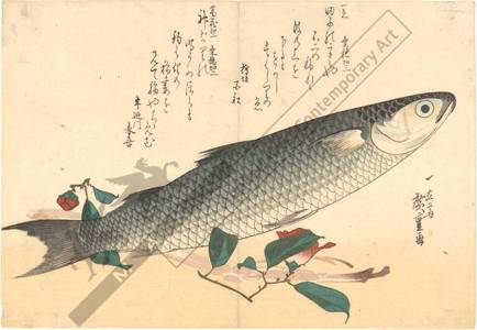 歌川広重: Grey Mackerel (title not original) - Austrian Museum of Applied Arts