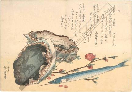 歌川広重: Abalone and Snake Fish (title not original) - Austrian Museum of Applied Arts