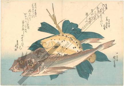 Utagawa Hiroshige: Flatfish and gurnards (title not original) - Austrian Museum of Applied Arts