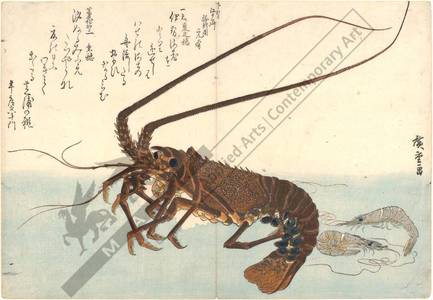 歌川広重: Crayfish and shrimps (title not original) - Austrian Museum of Applied Arts