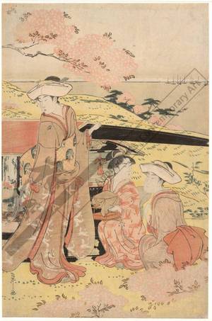 細田栄之: Viewing cherry blossoms in Gotenyama (title not original) - Austrian Museum of Applied Arts