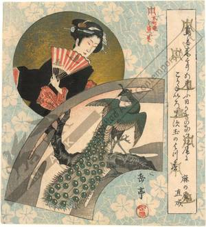 Yashima Gakutei: Beauty and peacock (title not original) - Austrian Museum of Applied Arts
