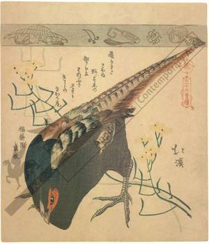Totoya Hokkei: Pheasant (title not original) - Austrian Museum of Applied Arts