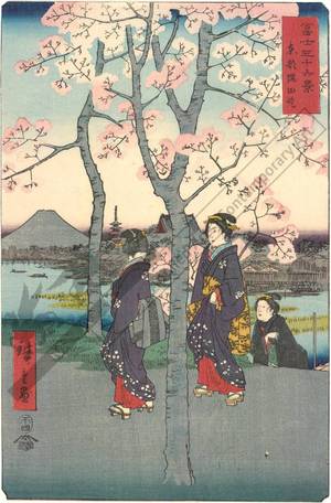 Utagawa Hiroshige: Sumida embankment in the eastern capital - Austrian Museum of Applied Arts