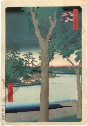 Ando Hiroshige, 歌川広重 (Ando Hiroshige)による浮世絵「Paulownia-plantation in Akasaka」