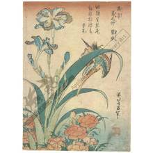 Katsushika Hokusai: Kingfisher, Iris and Pinks - Austrian Museum of Applied Arts