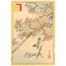Nakayama Sugakudo: Japanese Robin and Wild Cherry Tree - Austrian Museum of Applied Arts