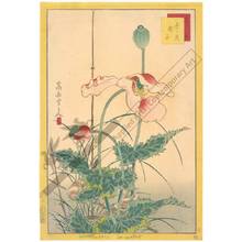 Nakayama Sugakudo: Sparrows and Poppies - Austrian Museum of Applied Arts