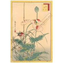 Nakayama Sugakudo: Sparrows and Poppies - Austrian Museum of Applied Arts