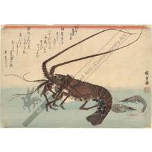 歌川広重: Crayfish and shrimps (title not original) - Austrian Museum of Applied Arts
