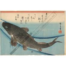 Utagawa Hiroshige: Carp (title not original) - Austrian Museum of Applied Arts