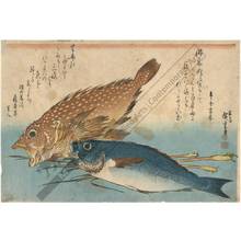 Utagawa Hiroshige: Kasago and Isaki (title not original) - Austrian Museum of Applied Arts
