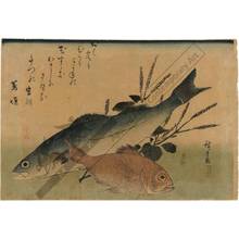 Utagawa Hiroshige: Sea bass and sea bream - Austrian Museum of Applied Arts