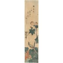 Utagawa Hiroshige: Hibiscus and little bird (title not original) - Austrian Museum of Applied Arts
