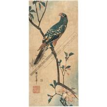 Utagawa Hiroshige: Parrot cherry blossoms (title not original) - Austrian Museum of Applied Arts