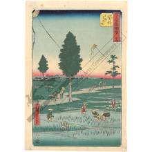 Utagawa Hiroshige: Print 28: Fukuroi, The famous kites of the province of Totomi (Station 27) - Austrian Museum of Applied Arts
