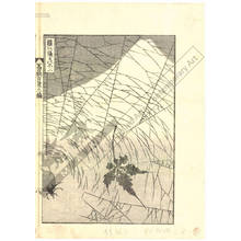 Katsushika Hokusai: Fuji behind a spiderweb - Austrian Museum of Applied Arts