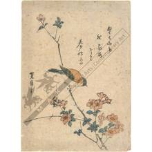 Koyama Hiromine: Small bird and plumblossoms - Austrian Museum of Applied Arts