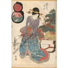 Utagawa Kunisada, 歌川国貞 (Utagawa Kunisada I)による浮世絵「Takinogawa: Aioi cherries」