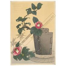 Unknown: Camellia (title not original) - Austrian Museum of Applied Arts